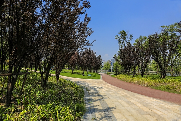 通吕运河绿廊景三