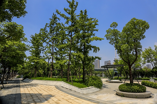 通吕运河绿廊景四