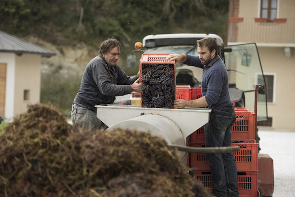 树林、小鹿、百年老藤——只用自然农法，怎样酿出“杀手酒”