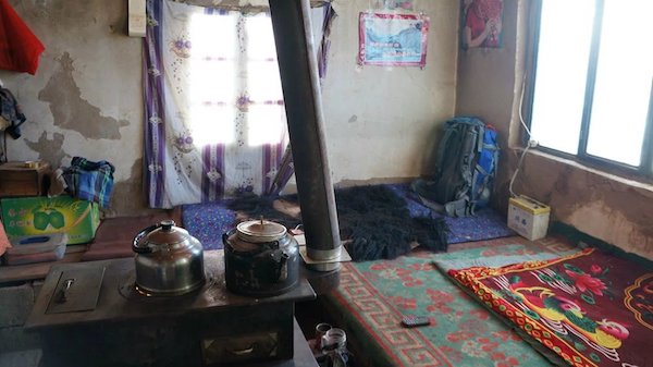 江托滩上的狼踪（上）