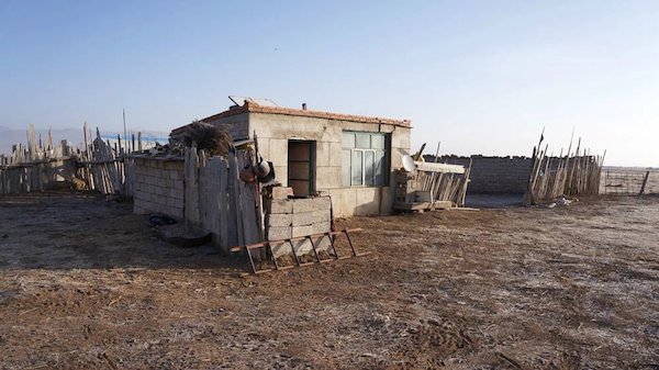 江托滩上的狼踪（上）