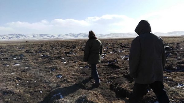 江托滩上的狼踪（上）