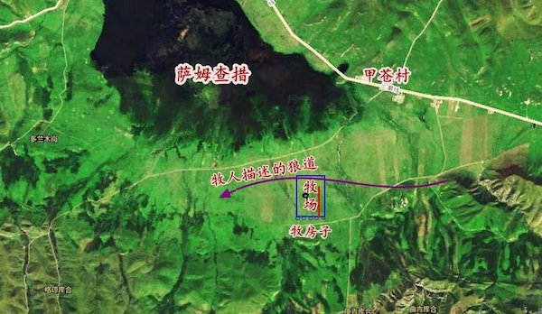 江托滩上的狼踪（上）