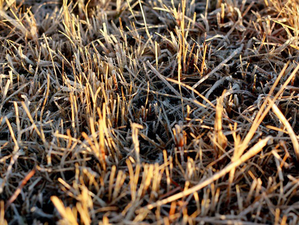 马背上的暮色——骑行穿越蒙古国西部草原