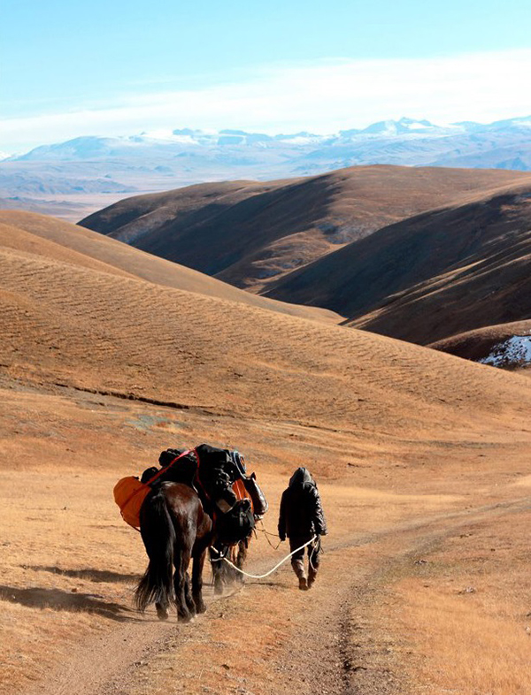 马背上的暮色——骑行穿越蒙古国西部草原