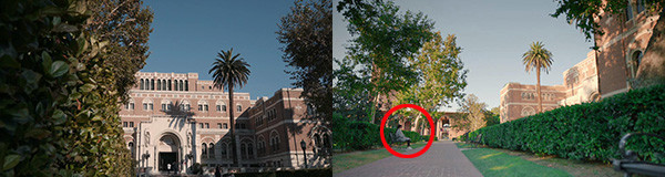 他们都上了“假”大学