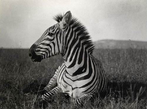 儿童节遛娃，这几个活动可以玩起来