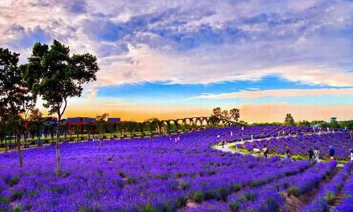 儿童节遛娃，这几个活动可以玩起来