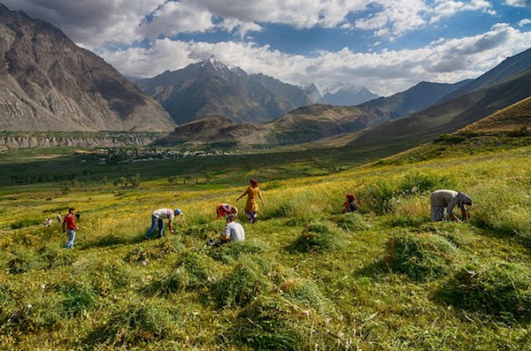 骑自行车穿越粟特人的群山