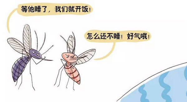 问答｜这个夏天，如何又白又瘦又不被蚊子惦记？
