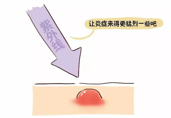 问答｜这个夏天，如何又白又瘦又不被蚊子惦记？