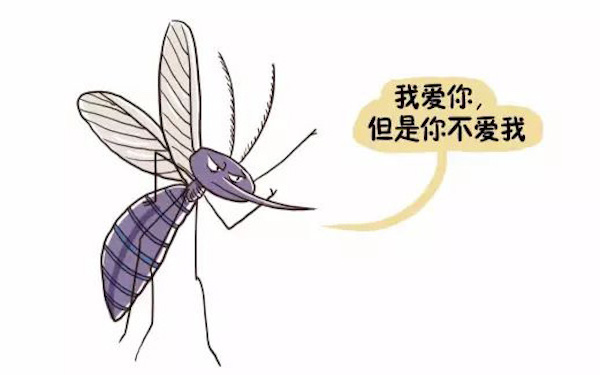 问答｜这个夏天，如何又白又瘦又不被蚊子惦记？