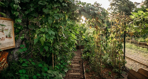 听说，巴黎人热衷“城中村”