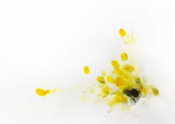 专栏| 宝贝，把这里画满