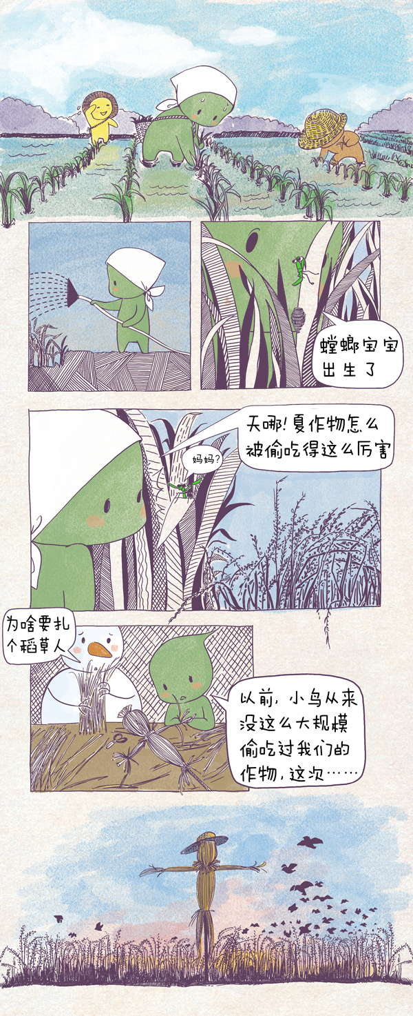 节气村的故事｜芒种忙乱中发现紫森林深处的大秘密