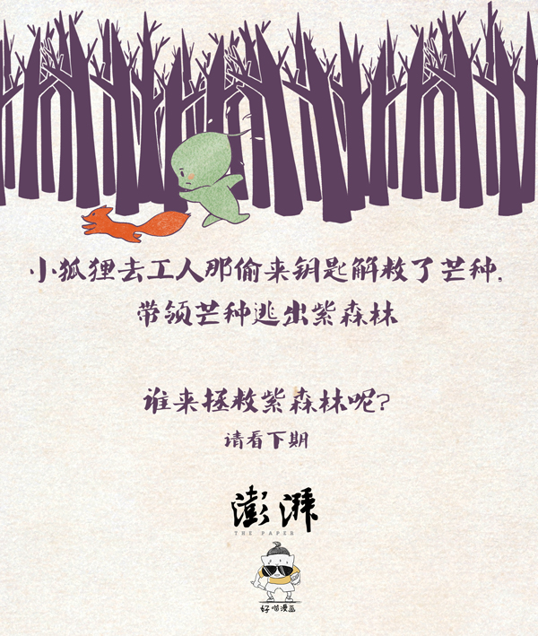 节气村的故事｜芒种忙乱中发现紫森林深处的大秘密