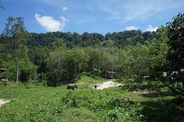 一座老牌岛屿的新意思