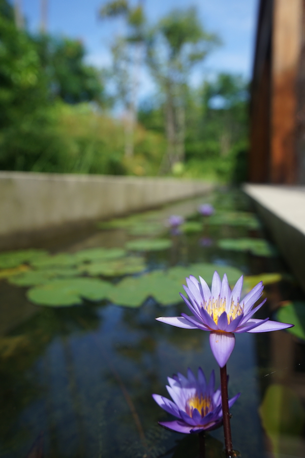 一座老牌岛屿的新意思