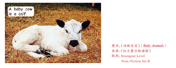 如何让孩子像学习母语一样学英语，这位奶爸这么说