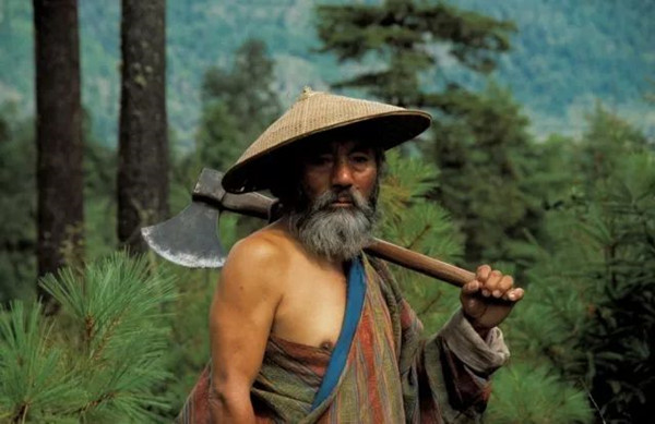 上海电影节｜今年，这些胶片电影不容错过