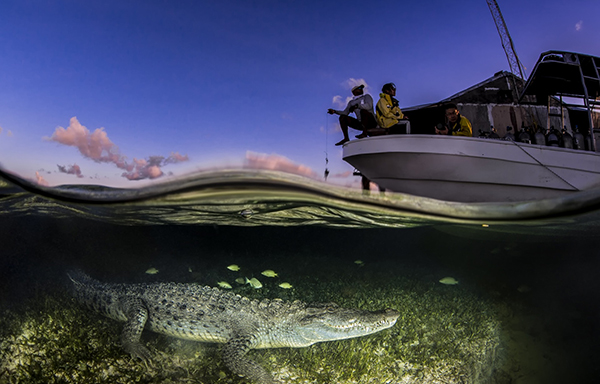 对谈 | 世界海洋日，我们来谈谈负责任的海洋旅行