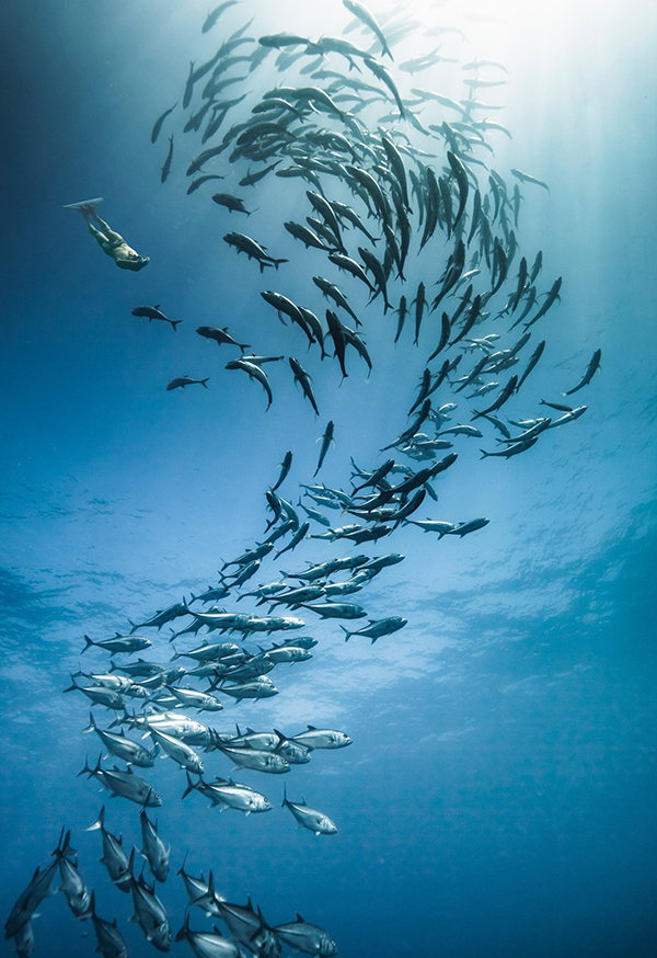 对谈 | 世界海洋日，我们来谈谈负责任的海洋旅行