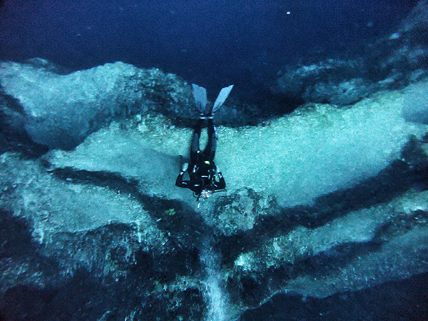 对谈 | 世界海洋日，我们来谈谈负责任的海洋旅行