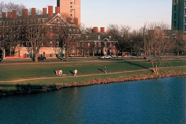 书评 | 村上春树，一个天真而老成的旅行者