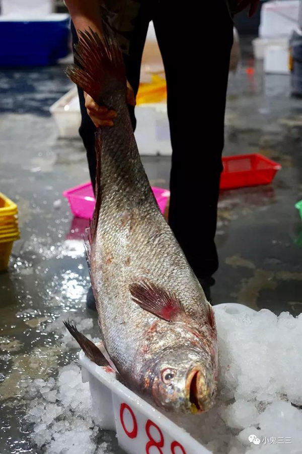 问吧精选 | 米其林到底贵在哪儿