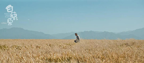 想当年｜《人间正道是沧桑》：杨家二十四代，中国二十四史