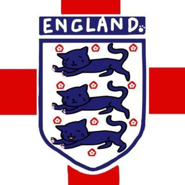 前哨｜最年轻英格兰队登场，他们是“三狮”还是“三喵”