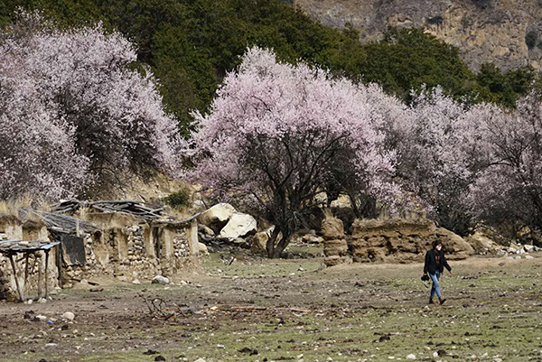西藏嘉黎：被隐藏的山谷和不存在的道路