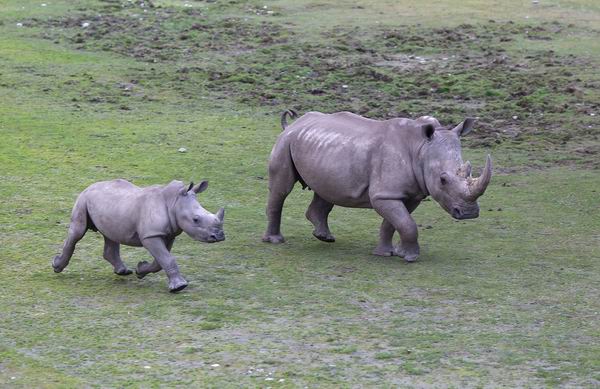 暑期亲子出境游，这几个地方了解一下