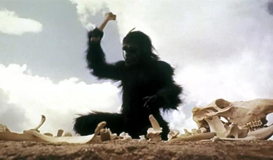 上影节展映片｜《2001:太空漫游》有多贴近今天的生活