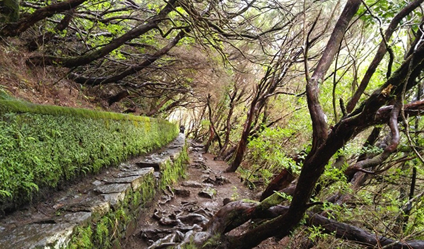 马德拉，大西洋中的火山岛，也是C罗的家乡