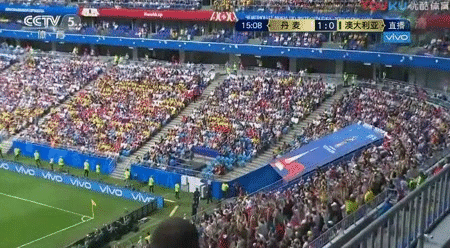 澳大利亚1比1闷平丹麦，C组出线形势依旧扑朔迷离