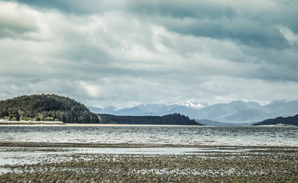 海达瓜依岛的拾荒人