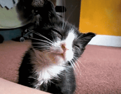 俄滴神｜中国队22日勇夺世界杯！上场的都是机器人