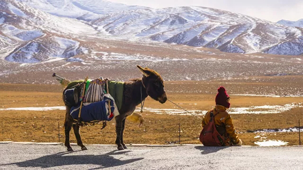 金爵奖竞赛片《阿拉姜色》：人性的大爱无关民族宗教