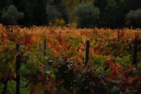 葡萄牙，风景与偏执
