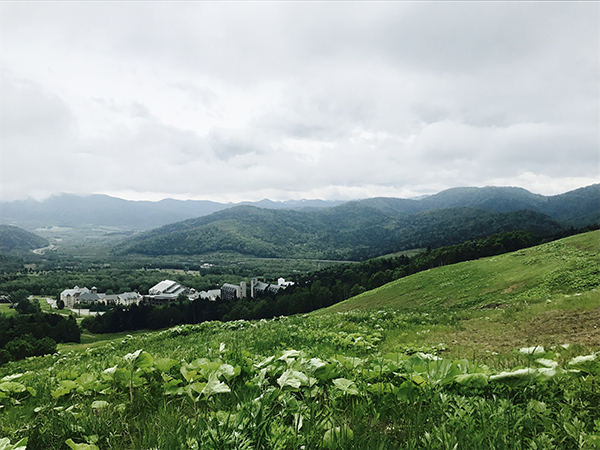 不滑雪的北海道有什么好玩的？