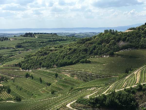 意大利美食的精髓，就在它的菜园子里