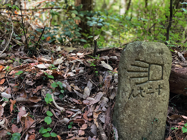 徒步四国遍路：德岛灵山寺出发，一条温暖的路