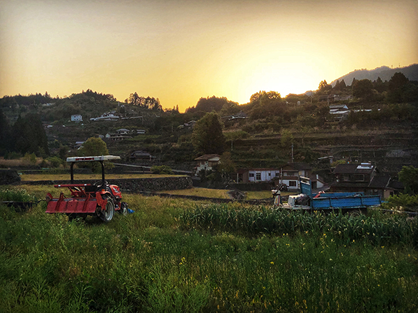 徒步四国遍路：德岛灵山寺出发，一条温暖的路