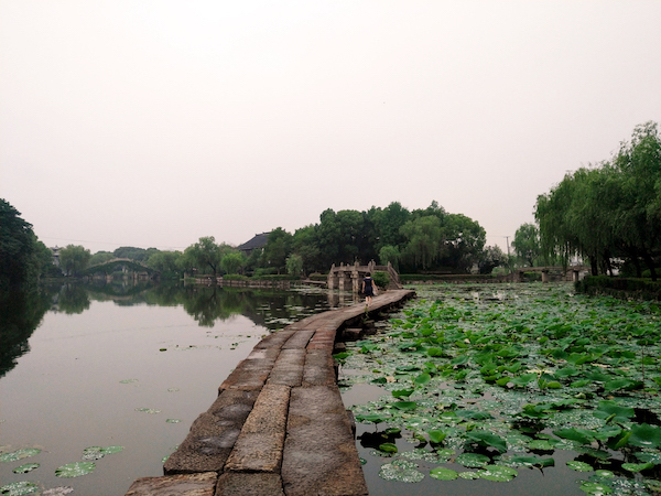 夏日行古道 | 白玉长堤路，乌篷小画船，绍兴有条水上古道