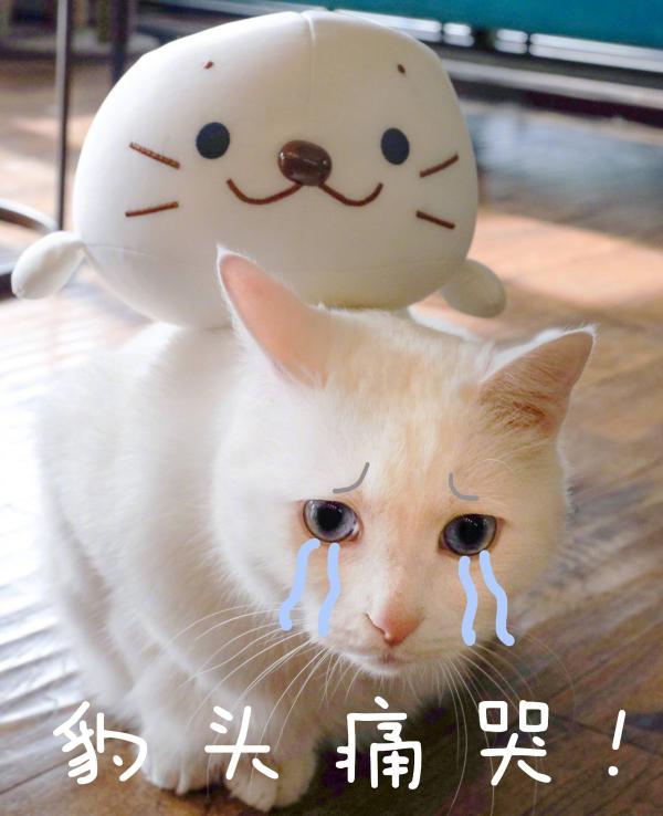 俄滴神｜傅明老人点评德国队，《我爱我家》真是神剧啊