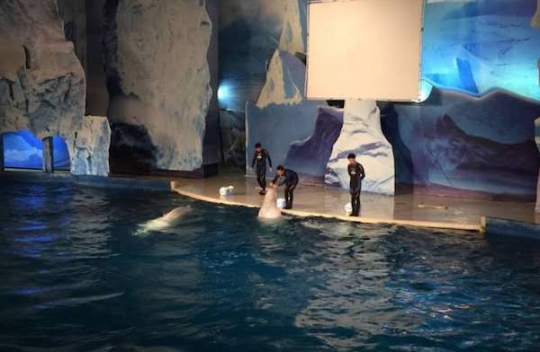 酷妈养成记，陪孩子玩脑力比体力更重要