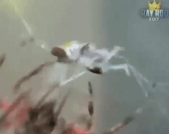 俄滴神｜大型连续剧《回家的诱惑》，领衔主演：内马尔