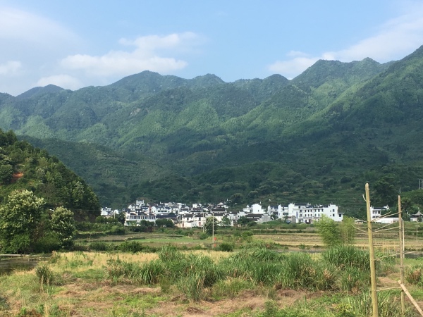 夏日行古道 | 茶亭、古樟与油纸伞，重拾婺源徽饶古道见闻