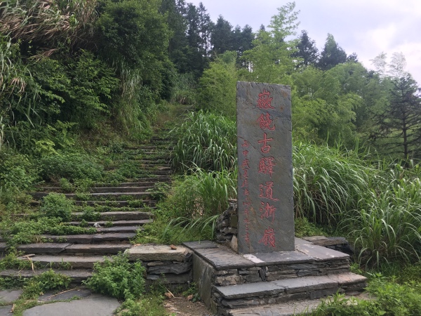 夏日行古道 | 茶亭、古樟与油纸伞，重拾婺源徽饶古道见闻